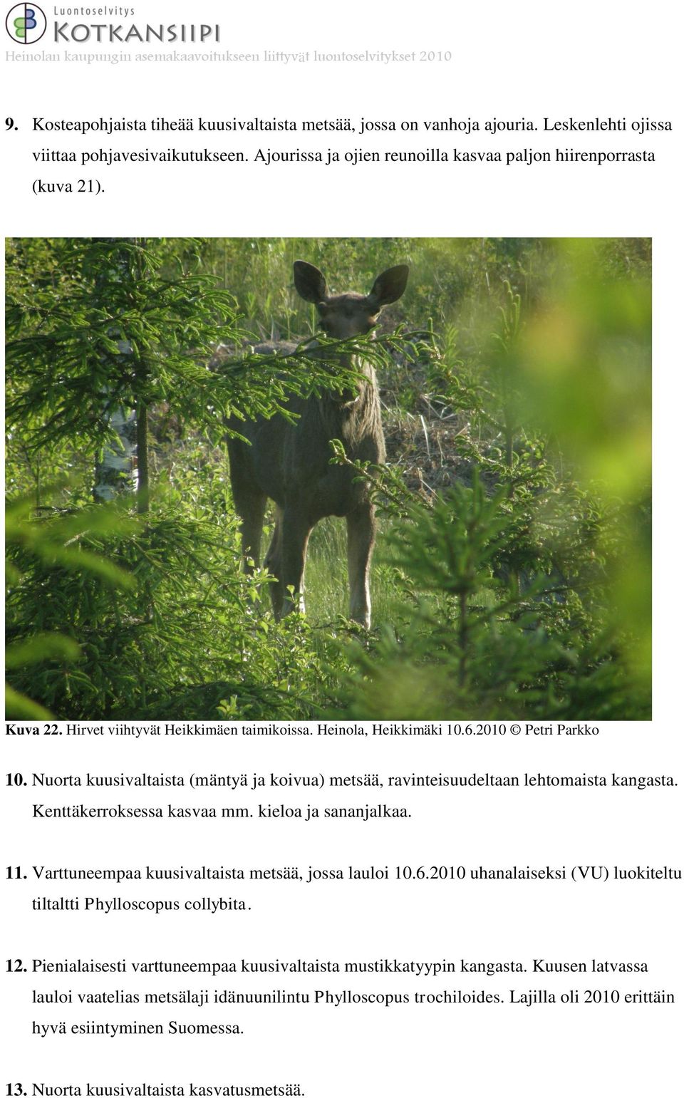 Kenttäkerroksessa kasvaa mm. kieloa ja sananjalkaa. 11. Varttuneempaa kuusivaltaista metsää, jossa lauloi 10.6.2010 uhanalaiseksi (VU) luokiteltu tiltaltti Phylloscopus collybita. 12.