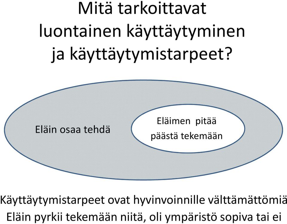 Eläin osaa tehdä Eläimen pitää päästä tekemään