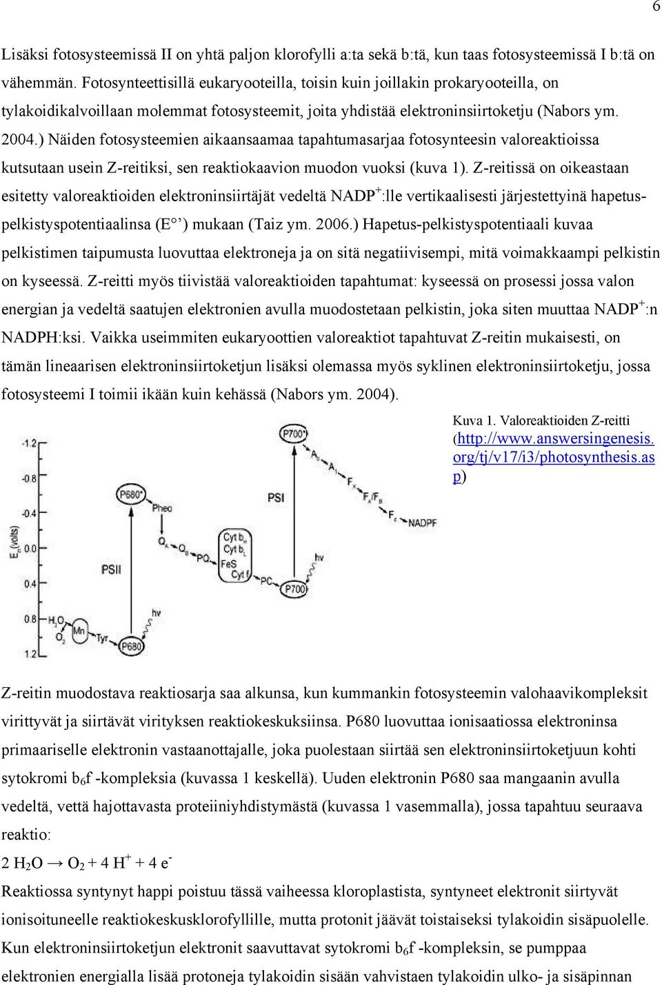 ) Näiden fotosysteemien aikaansaamaa tapahtumasarjaa fotosynteesin valoreaktioissa kutsutaan usein Z-reitiksi, sen reaktiokaavion muodon vuoksi (kuva 1).