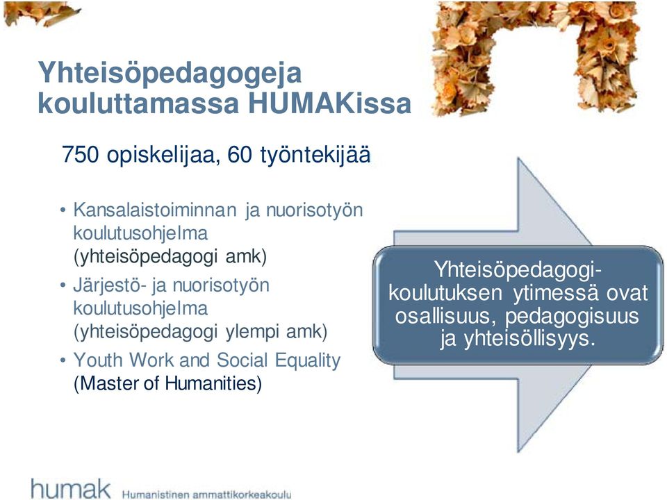 nuorisotyön koulutusohjelma (yhteisöpedagogi ylempi amk) Youth Work and Social Equality