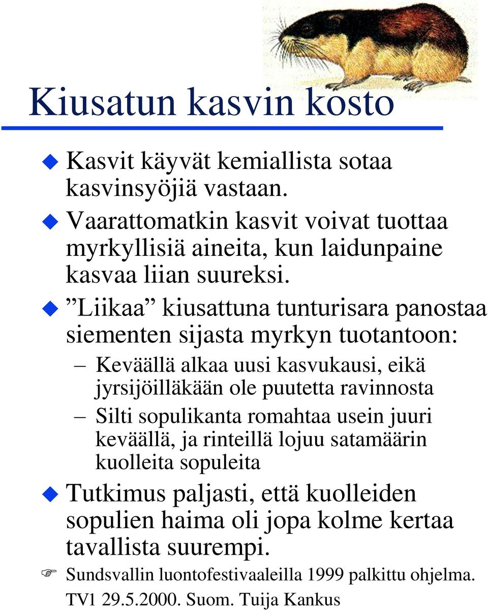 Liikaa kiusattuna tunturisara panostaa siementen sijasta myrkyn tuotantoon: Keväällä alkaa uusi kasvukausi, eikä jyrsijöilläkään ole puutetta