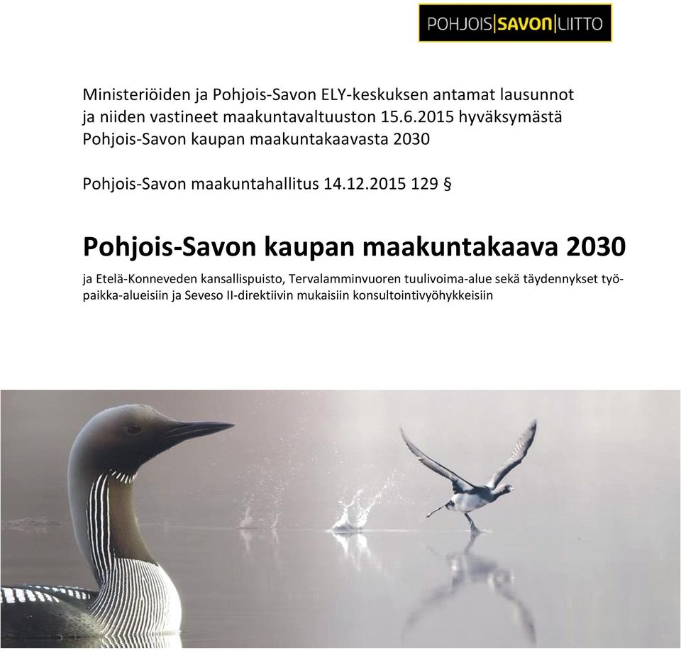 2015 129 Pohjois-Savon kaupan maakuntakaava 2030 ja Etelä-Konneveden kansallispuisto, Tervalamminvuoren