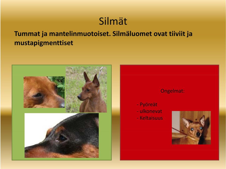 Silmäluomet ovat tiiviit ja