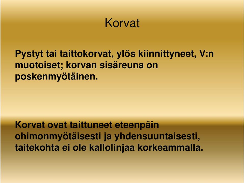 K t t t itt t t äi Korvat ovat taittuneet eteenpäin