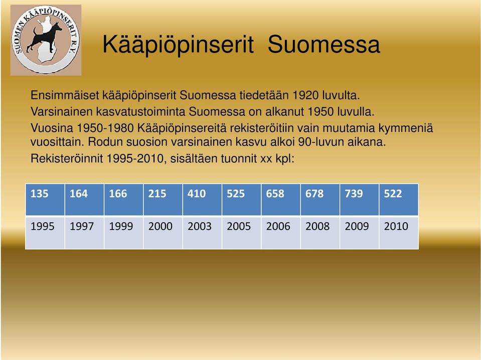 Vuosina 1950-1980 Kääpiöpinsereitä rekisteröitiin vain muutamia kymmeniä vuosittain.