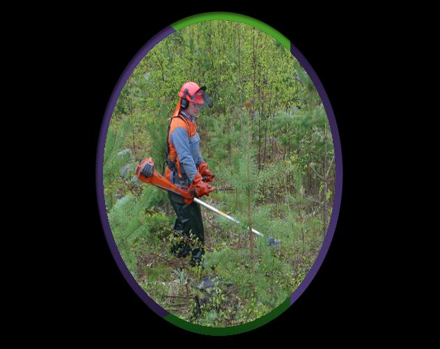 Metsänhoitopinta-alat (ha/vuosi) Tehostetussa skenaariossa