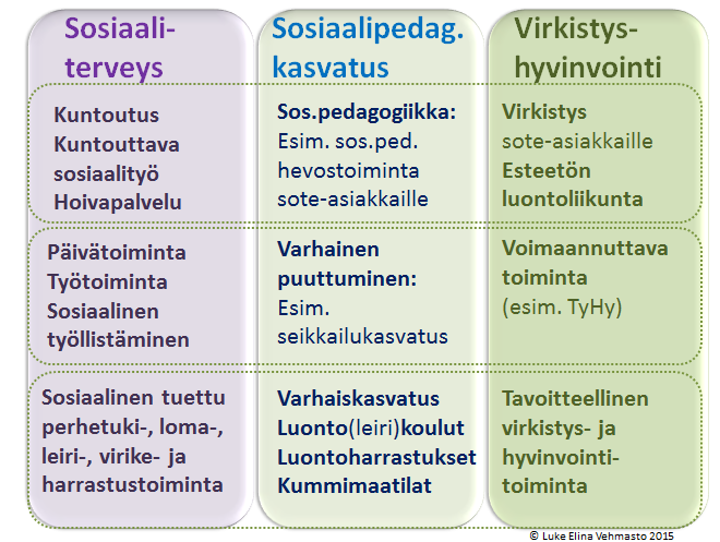 Harrastus, oppiminen, kokeminen