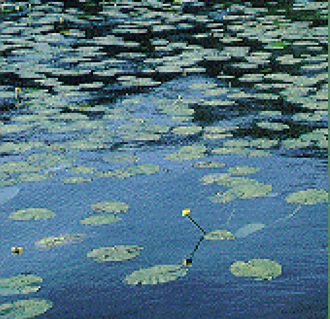 Water lily French children are told a story in which they imagine having a pond with water lily leaves floating on the surface.