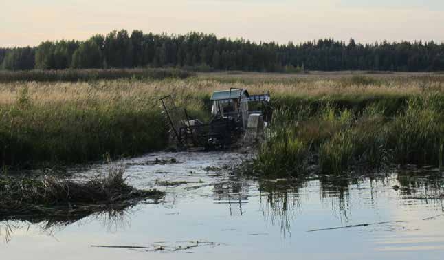 Väyläleikkuuta Inhottujärven Natura 2000 alueella. Kuva: Pasi Salmi olosuhteita muodostamalla uusia virtausväyliä. Leikkuutyö tehtiin Truxor niittokoneella.