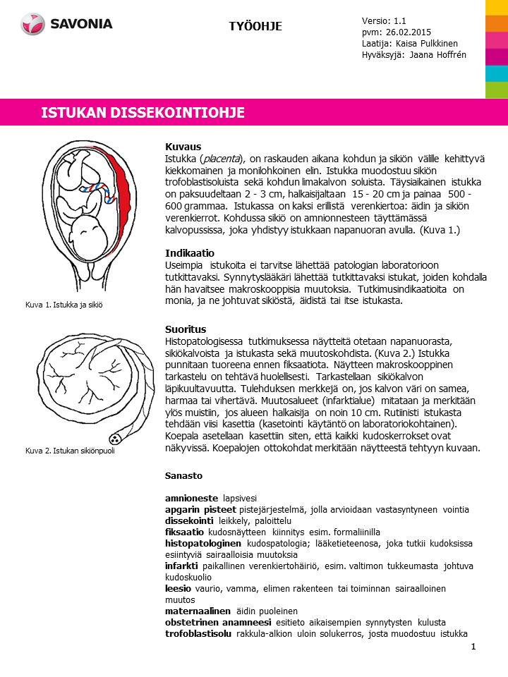 LIITE 1: ISTUKAN