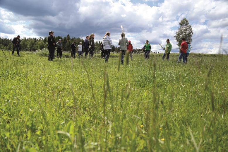 Toiminnan muutoksia nurmiryhmätiloilla (50 aktiivikarjatilaa, Varsinais-Suomi ja Satakunta 2014) - Lisää tiheyttä (viljelykierto + täyd.kylvö)!