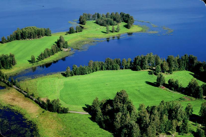 LUKIJALLE Tämä julkaisu kertoo paikallisen luomuruokaketjun kehittämisestä Etelä-Savossa vuoden 2014 aikana.