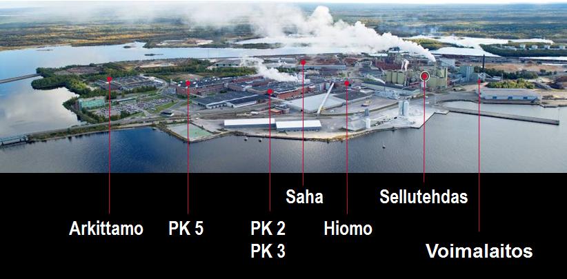 10 Suomesta tulevaa sertifioitua puuta käytetään tehtaalla 2,7 miljoonaa m 3 /a. Puuraaka-aineen toimittaa Stora Enso Metsä, Pohjois-Suomen alue.