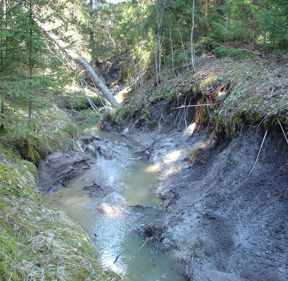 Mustijoki, kunnostukset 33 Uuden tierummun paikka siirtyi hieman alavirtaan tiessä olevan mutkan oikaisemiseksi.