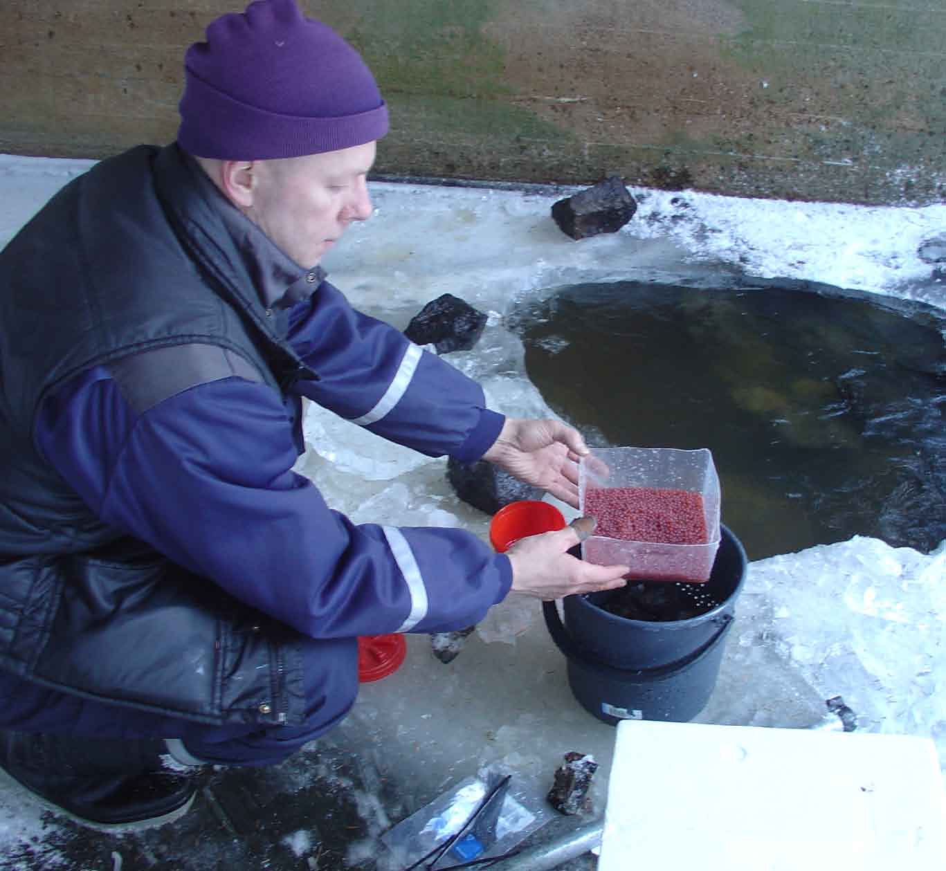 Porvoonjoki, kunnostukset 45 Nummenkulmankoski Porvoonjoen latvavesissä Kärkölässä kunnostettiin kolmea koskea Jokikunnostushankkeessa vuosina 2003-2006.