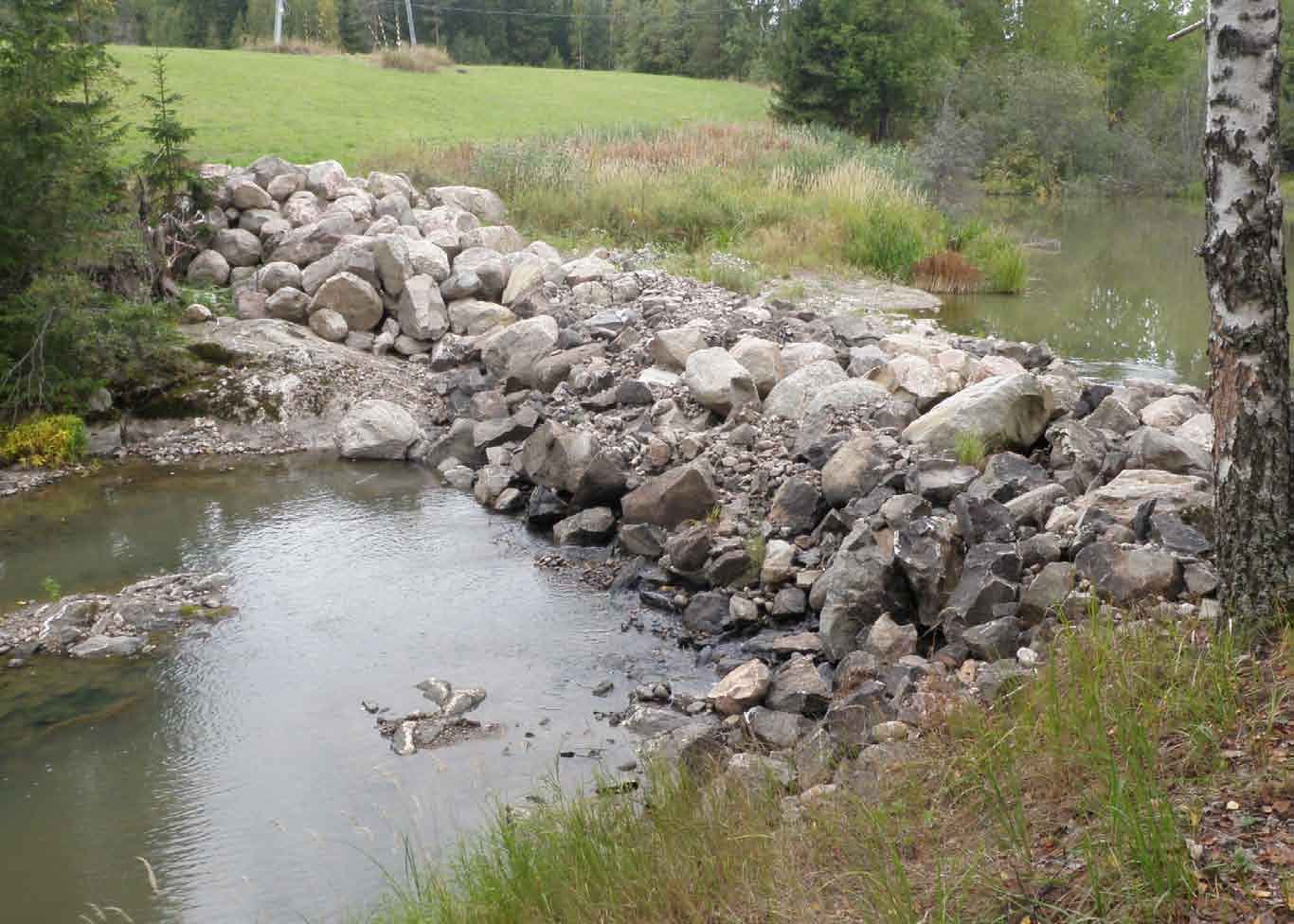 Koskenkylänjoki, kunnostukset 63 Kuva 104. Köylinkosken uimalammen vanha pato oli tuettu kiveyksillä.