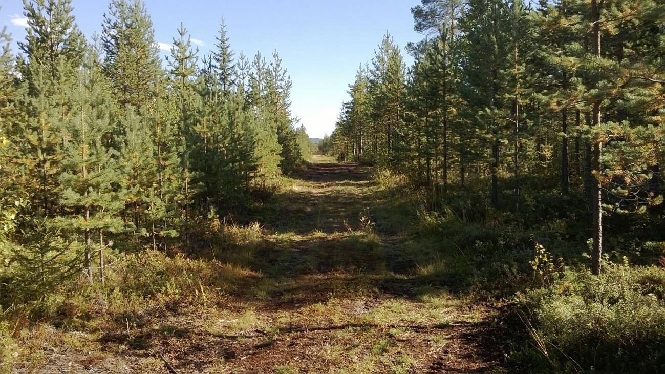 31 Maastossa havaittavia muutoksia tiestön suhteen voi olla tien luokituksen muutos. Tieluokka voi pysyä ennallaan, parantua tai huonontua.