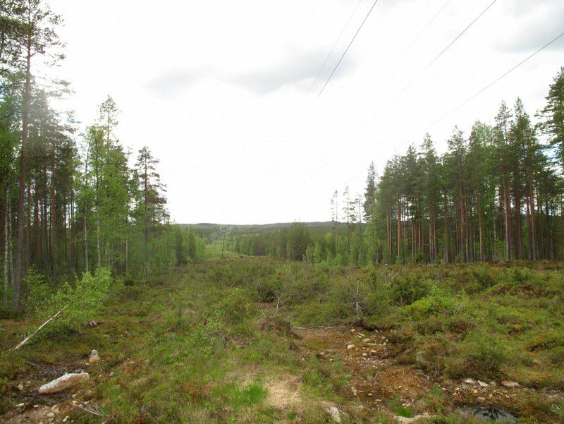 0 Kuva. Tasainen hiekkakangas Aittokosken voimalan eteläpuolella, kuvattu etelään. Kuva. Tasainen soistunut alue Aittokosken moottoriradan itäpuolella, kuvattu eteläkaakkoon.