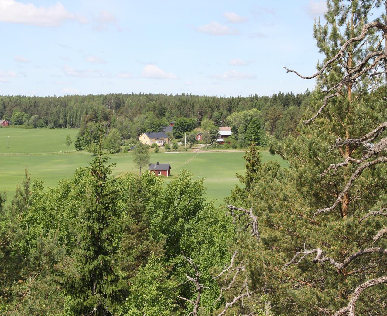 Metsänomistajan kaavoitusapu Sisällys 1. Metsänomistaja kaavoitukseen osallisena 2. Kaavajärjestelmä 3. Seuraa kaavoitusta aktiivisesti 4.