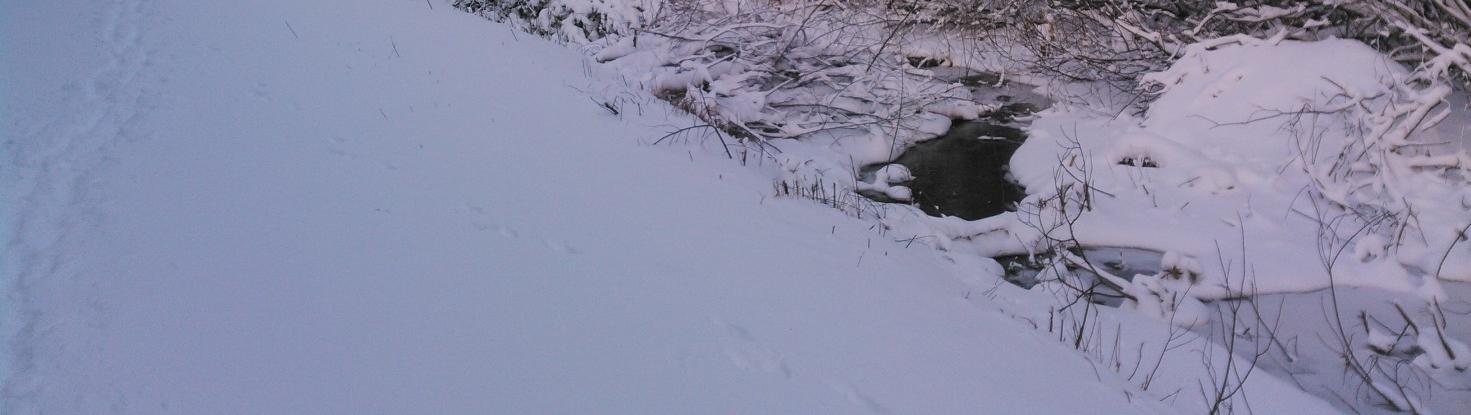 Maastokäynti: Ramboll, Antti Harju ja Anni Zacheus 14.1.2016 Ramboll, Päivi Paavilainen ja Anni Zacheus 19.5.2016 Multisillan ys-alueen hulevesiselvitys ja hallintasuunnitelma Kuva 15 (20160114_021).