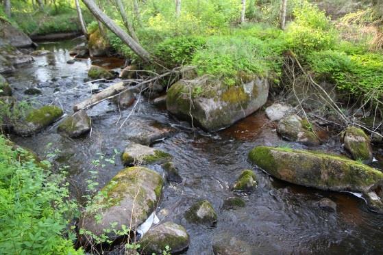 Hiekan vähentäminen puroissa Toimenpiteet valuma-alueilla! Pysyvät puusuisteet, altakaivajat, padot Iijoen valuma-alue (Turunen et al.