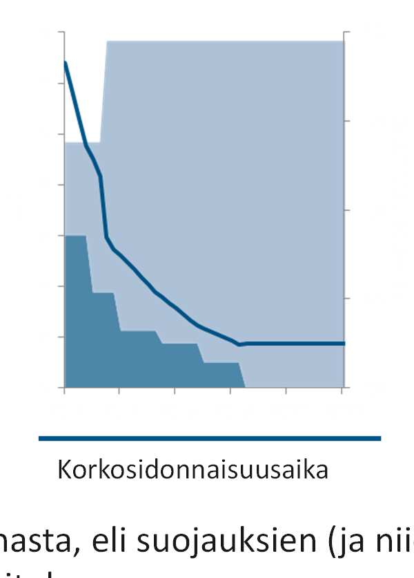 Korkoriskin hallintaa kannattaa tehdä oletuksella toiminnan jatkuvuudesta ( going concern ) Nykylainat, jos mitään ei tehdä + jälleenrahoitus + suunnitellut lisälainat Vaihtuvakorkoiset lainat