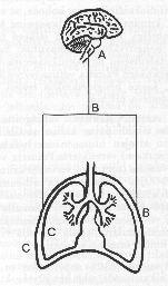 Ventilaatiovaje: syitä A.