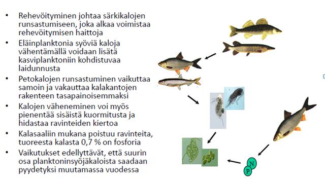 Ravintoketjukunnostuksen periaate Kuva: Jukka Ruuhijärvi, Tommi Malinen & Mikko Olin 2014