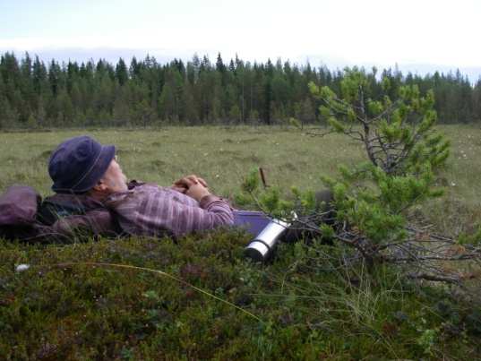 Mikä nyt on tärkeätä ymmärtää Turve on tulevaisuuden luonnonvara Kansallinen toimintaympäristö on säilytettävä sellaisena että innovaatiot voidaan hyödyntää Globaalit