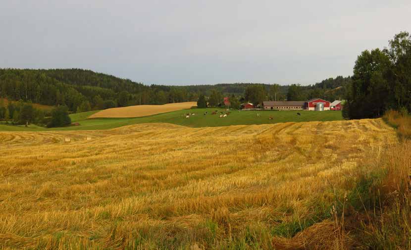 Kohde 22. Montola Kohde: 22 Kohteen nimi: Montolan, Palosen ja Kataloisten pellot Pinta-ala: 714 ha Maaperä: Montolan ja Palosen pellot ovat maaperältään karkeaa hietaa.