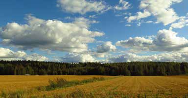 Kohde 26. Saloinen Kohde: 26 Kohteen nimi: Kirin ja Saloisten pellot Pinta-ala: 517 ha Kunta: Janakkala Maaperä: Alueen maaperä on hiesua ja hienoa hietaa.