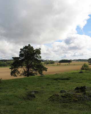 Kohde: 28 Kohteen nimi: Haapaniemen ja Suojärvenkulman pellot Pinta-ala: 471 ha Kunta: Janakkala ja Hämeenlinna Maaperä: Alueen maaperä on enimmäkseen savea ja hiesua. Kuvaus: Alue on pitkä ja kapea.