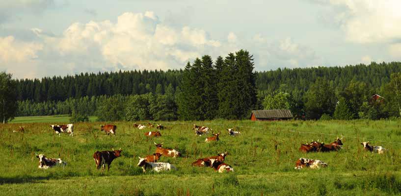 Kohde 32. Sairiala Kohde: 34 Kohteen nimi: Uhkolan ja Napialan pellot Pinta-ala: 428 ha Kunta: Janakkala Maaperä: Alueen maaperä on etupäässä savea ja hiesua.
