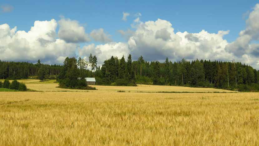 Kohde 41. Torvoila Kohde: 40 Kohteen nimi: Ylänteen pellot Pinta-ala: 335 ha Maaperä: Alueen maalajit ovat etupäässä hienoa ja karkeaa hietaa. Kuvaus: Pellot ovat syntyneet Isojoen ympärille.