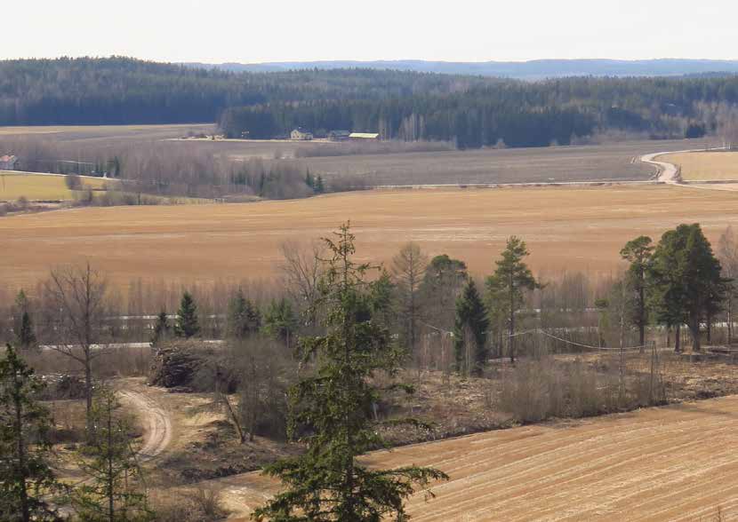 Kohde 5. Hakoinen LÄHTEET Mäkinen, J. 2014. Hyvät ja yhtenäiset peltoalueet Päijät-Hämeessä. Päijät-Hämeen liitto A212 * 2014. Pirkanmaan liitto. 2014. Hyvät ja yhtenäiset peltoalueet Pirkanmaalla.