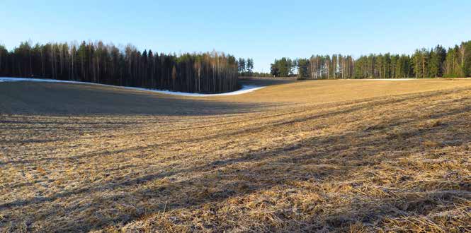 1 JOHDANTO Kanta-Hämeen hyvien ja yhtenäisten peltojen selvityksen tavoitteena on tunnistaa maanviljelyn harjoittamisen kannalta edullisimmat peltoalueet Kanta-Hämeessä eli maatalousalueet, joilla