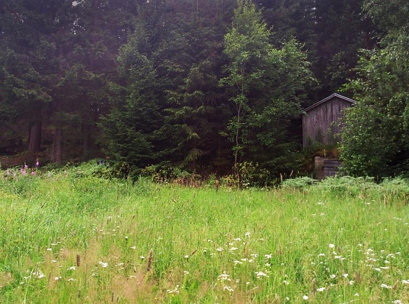 11 Suunnittelualueella sijaitseva maakellari Tekninen huolto Kurhilantien varressa on Asikkalan ja Padasjoen verkostot yhdistävä vesihuoltolinja, johon kaava-alueiden kunnallistekniikka liitetään.