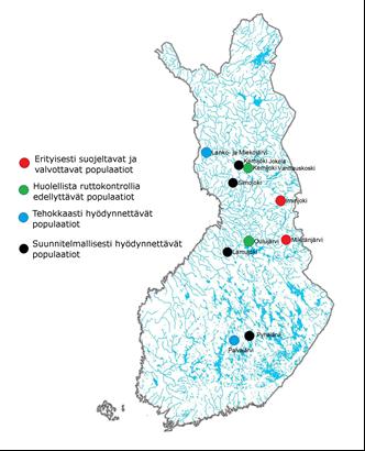 Tutkimukseen valittiin 10 populaatiota, joilla