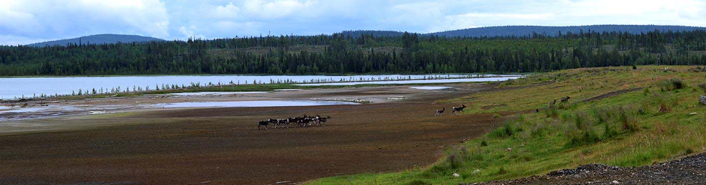 HANNUKAISEN KAIVOSALUEEN