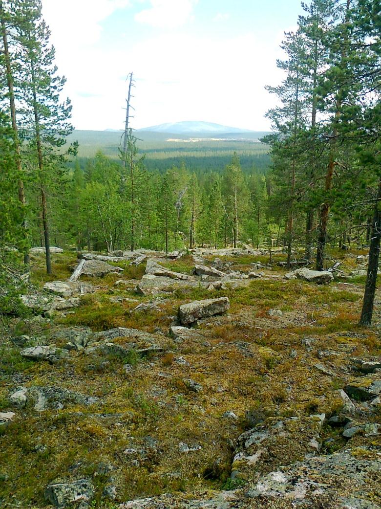 6 Northland Resources SA Kuva 3. Näkymä Heikinlaelta Ylläksen suuntaan.