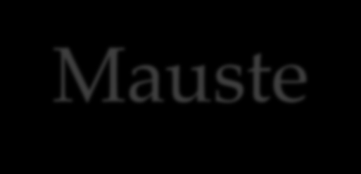 Mauste-hanke Maahanmuuttajien englanninkielinen