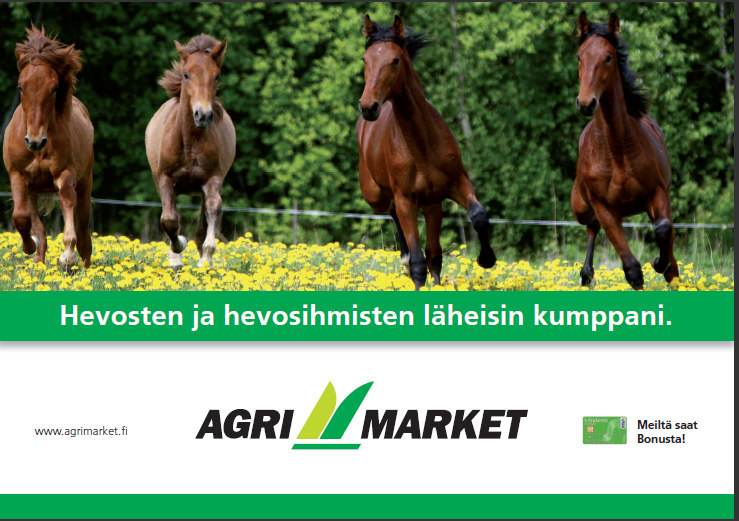 15 33. Koskenkukan Tiitu 246001S00091490 synt. 22.05.2009 tamma Ruunikko Kuningas Ässä 1485-98 / Liinun Jyly 1068-91 / Jäävin-Poika 1571-84 Kasv. & Om. Forsblom Maria & Svante, RIIHIMÄKI 34.