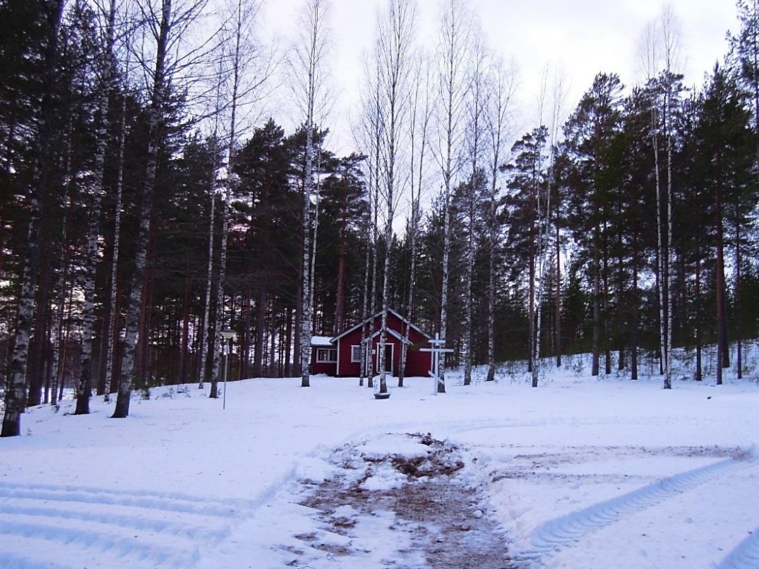 Ristin lähialue Ristin takana kasvaa muutamia koivuja.