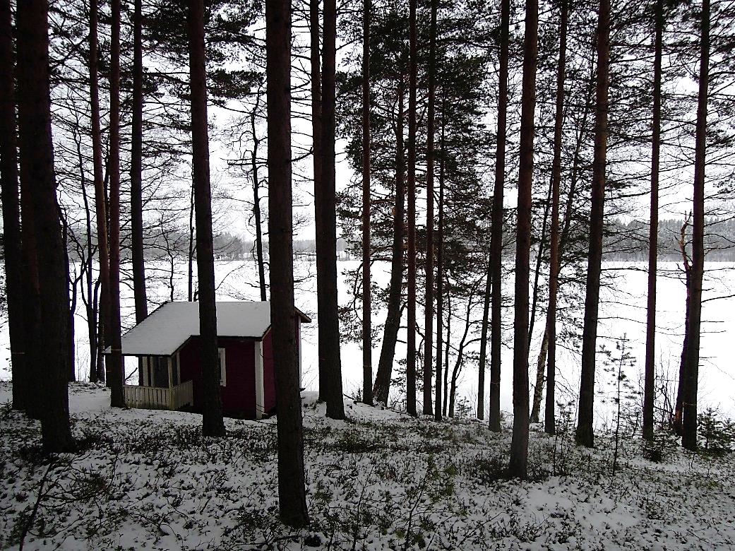 Marin mökin ja kesämaja II:n alue Männikköinen rinne on tiheää männikköä, jota on hyvä väljentää, jotta jäävä puusto pystyy järeytymään ja maisemaan syntyy lisää tilaa.