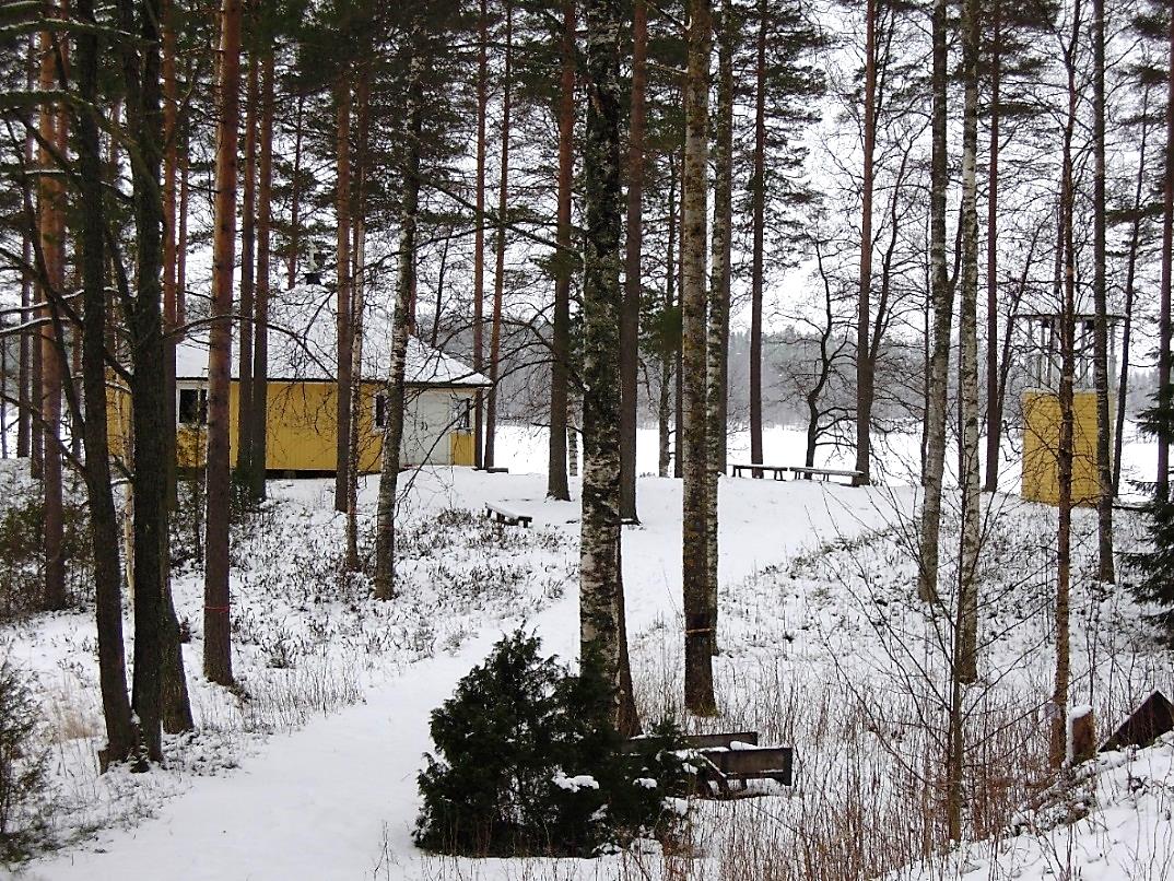 Tsasounan ympäristö Alueella kasvaa pääosin kookkaita mäntyjä. Rannoilla kasvaa koivua ja tervaleppää.