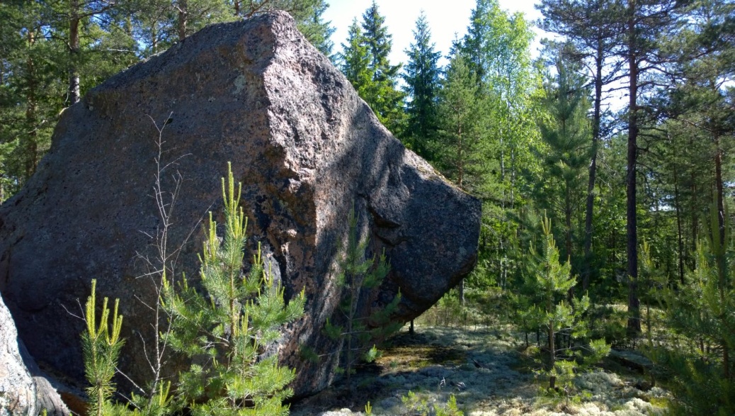 AKDG 4722:2. Kalliota hiihtomajan yläpuolella, pohjoisesta. Kuvaaja: Petro Pesonen.