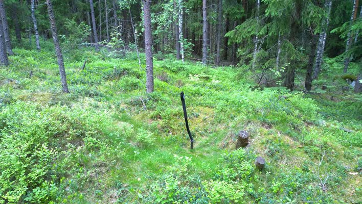 AKDG 4722:8. Virolahti Korkiakallio. Hautaröykkiö, kaakosta. Kuvaaja: Petro Pesonen. AKDG 4722:9. Virolahti Korkiakallio. Hautaröykkiö, lounaasta.