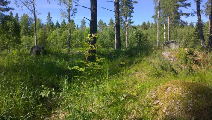 6 Virolahti Lantviikinvuori 1 (uusi kohde) Perustiedot Muinaisjäännöslaji Muinaisjäännöstyyppi Ajoitus Koordinaatit (ETRS TM35) Koordinaattien selite Sijainti muu kulttuuriperintökohde kaivanto