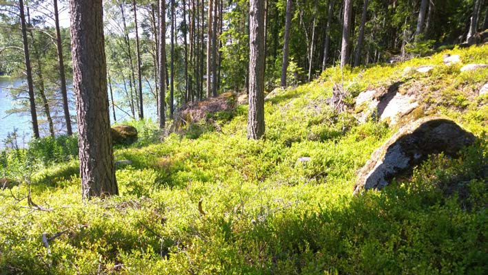 7 Virolahti Lantviikinvuori 2 (uusi kohde) Perustiedot Muinaisjäännöslaji Muinaisjäännöstyyppi Ajoitus Koordinaatit (ETRS TM35) Koordinaattien selite Sijainti muu kulttuuriperintökohde kaivanto