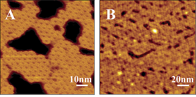 Monolayer of hydrophobin on aqueous acetate buffer subphase Paananen et al Biochemistry 42 (2003)5253 29